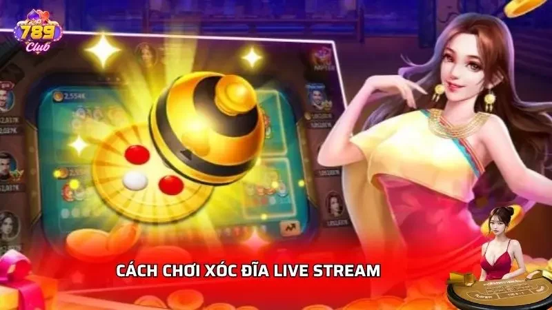 Thao tác newbie thực hiện để tham gia cược 