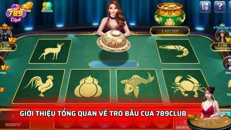 Cái nhìn chi tiết nhất về trò chơi bầu cua trực tuyến