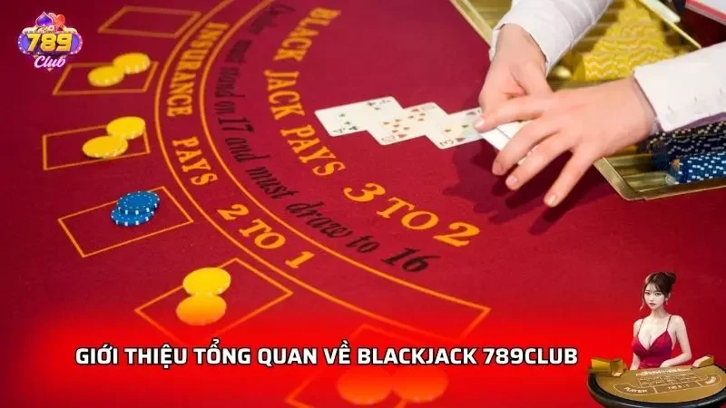 Người chơi cần có cái nhìn tổng quan nhất về trò chơi bài